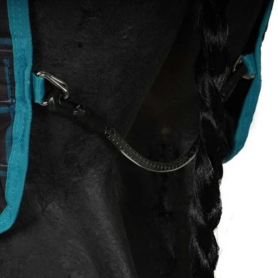 Amigo Pony Plus 50g ZwartCheck Teal/Zilver - Afbeelding 9
