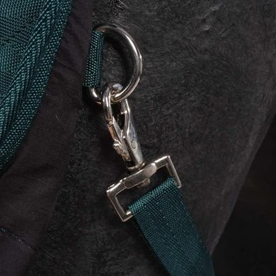 EQUITHÈME Staldeken Teddy 200g Groen/Bruin - Afbeelding 7