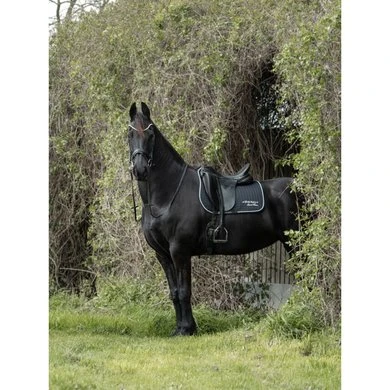 Bucas Zadeldekje Therapy Limited Edition Dressuur Black/Silver - Afbeelding 9