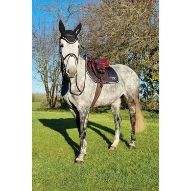 Bucas Zadeldekje Therapy Limited Edition Springen Black/Silver - Afbeelding 8