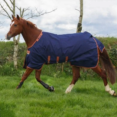 Bucas Turnout Light Jubilee X-Range Navy - Afbeelding 2