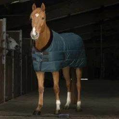 EQUITHÈME Staldeken Teddy 200g Groen/Bruin