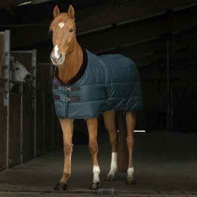 EQUITHÈME Staldeken Teddy 200g Groen/Bruin