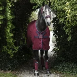 Rambo Helix Staldeken Discsluiting Burgundy/Teal/Navy 100/152