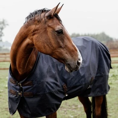 Kentucky Horsewear Kentucky Turnout Rug All Weather Waterproof Pro 0g Navy - Afbeelding 11