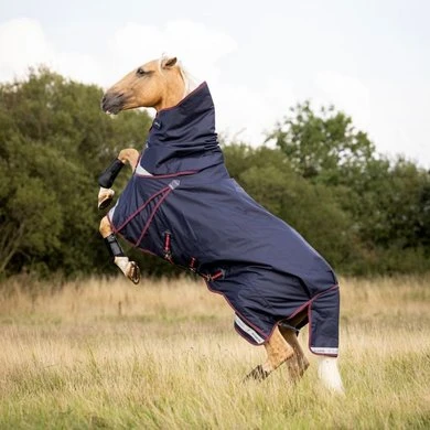 LeMieux Deken Kudos Turnout 50g Navy - Afbeelding 2