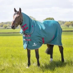 Tempest Original Regendeken Air Motion Combo Groen