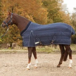 Waldhausen Staldeken Comfort Line Nightblue